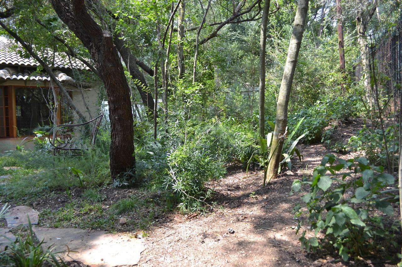 Lydall Wild Tranquil Garden Suites Johannesburg Luaran gambar